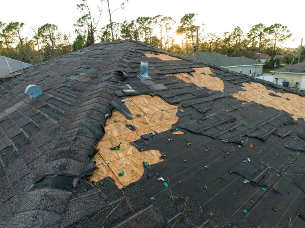 Best Gutter Installation and Repair  in Linton Hall, VA